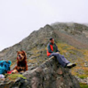 Meet your Posher, Bob